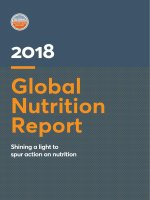 2018 global nutrition report 1