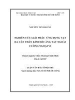 Luận văn bác sỹ nội trú nghiên cứu giải phẫu ứng dụng vạt da cân thần kinh bì cẳng tay ngoài cuống ngoại vi
