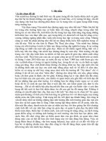 Tổ chức hoạt động ngoại khóa nhằm giáo dục kỹ năng giao tiếp và nếp sống văn minh cho học sinh lớp chủ nhiệm 11a1 trường THPT 