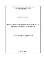 Hành vi quảng cáo thương mại gây nhầm lẫn theo pháp luật việt nam hiện nay 