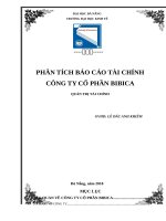 PHÂN TÍCH BÁO CÁO TÀI CHÍNH CÔNG TY CỔ PHẦN BIBICA