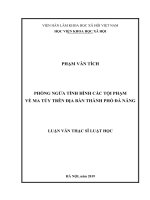 Phòng ngừa tình hình các tội phạm về ma túy trên địa bàn thành phố Đà Nẵng (LV thạc sĩ)