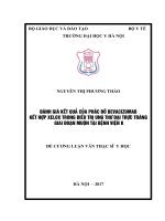 ĐÁNH GIÁ kết QUẢ của PHÁC đồ BEVACIZUMAB kết hợp XELOX TRONG điều TRỊ UNG THƯ đại TRỰC TRÀNG GIAI đoạn MUỘN tại BỆNH VIỆN k 
