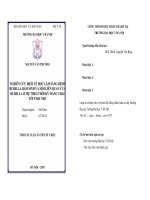 Nghiên cứu dịch tễ học lâm sàng bệnh rubella bẩm sinh và mối liên quan của rubella ở mẹ theo thời kỳ mang thai tới thai nhi (TT)