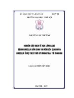 Nghiên cứu dịch tễ học lâm sàng bệnh rubella bẩm sinh và mối liên quan của rubella ở mẹ theo thời kỳ mang thai tới thai nhi (FULL TEXT)