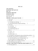 Đánh giá kết quả hóa xạ đồng thời trong ung thư vòm mũi họng giai đoạn II tại bệnh viện k 