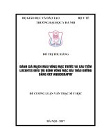 đánh giá tình trạng mạch máu võng mạc trước và sau tiêm lucentis điều trị bệnh võng mạc đái tháo đường bằng OCT angiography 