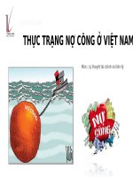 thực trạng nợ công ở việt nam 
