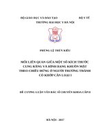 MỐI LIÊN QUAN GIŨA một số KÍCH THƯỚC CUNG RĂNG và HÌNH DẠNG KHUÔN mặt THEO CHIỀU ĐỨNG ở NGƯỜI TRƯỞNG THÀNH có KHỚP cắn LOẠI i 