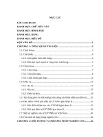 Đánh giá kết quả hóa xạ đồng thời trong ung thư vòm mũi họng giai đoạn II tại bệnh viện k 