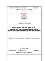 NGHIÊN cứu đặc điểm HÌNH ẢNH và GIÁ TRỊ của CHỤP MSCT 128 lát TRONG CHẨN đoán UNG THƯ BIỂU mô tế bào GAN tại BỆNH VIỆN đa KHOA TỈNH THANH hóa 