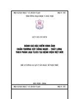 ĐÁNH GIÁ đặc điểm HÌNH ẢNH CHẤN THƯƠNG cột SỐNG NGỰC – THẮT LƯNG THEO PHÂN LOẠI TLICS tại BỆNH VIỆN VIỆT đức 
