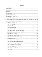 Xây dựng chương trình kế toán chi phí sản xuất và tính giá thành sản phẩm cho Công ty TNHH  Việt Hoa