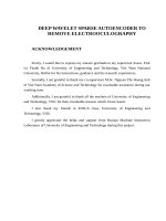 DEEP WAVELET SPARSE AUTOENCODER TO REMOVE ELECTROOCULOGRAPHY