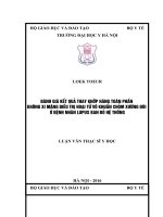 ĐÁNH GIÁ kết QUẢ THAY KHỚP HÁNG TOÀN PHẦN KHÔNG XI MĂNG điều TRỊ HOẠI tử vô KHUẨN CHỎM XƯƠNG đùi ở BỆNH NHÂN LUPUS BAN đỏ hệ THỐNG 