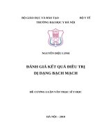 ĐÁNH GIÁ kết QUẢ điều TRỊ dị DẠNG BẠCH MẠCH 