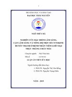 Nghiên cứu đặc điểm lâm sàng, cận lâm sàng và nồng độ một số cytokin ở bệnh nhân viêm loét đại trực tràng chảy máu (full text)