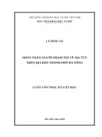 Nhân thân người phạm tội về ma túy trên địa bàn thành phố đà nẵng 