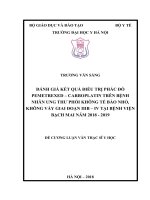 ĐÁNH GIÁ kết QUẢ điều TRỊ PHÁC đồ PEMETREXED – CARBOPLATIN TRÊN BỆNH NHÂN UNG THƯ PHỔI KHÔNG tế bào NHỎ, KHÔNG vảy GIAI đoạn IIIB – IV tại BỆNH VIỆN BẠCH MAI năm 2018   2019 