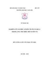 NGHIÊN cứu sự bộc lộ dấu ấn p53 và BCL2 TRONG UNG THƯ BIỂU mô TUYẾN vú 