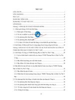 Xây dựng chương trình kế toán bán hàng và xác định kết quả kinh doanh tại công ty TNHH Thương Mại và Dịch Vụ Thú Y SAP