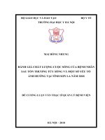ĐÁNH GIÁ CHẤT LƯỢNG CUỘC SỐNG của BỆNH NHÂN SAU tổn THƯƠNG tủy SỐNG và một số yếu tố ẢNH HƯỞNG tại TỈNH sơn LA năm 2018 
