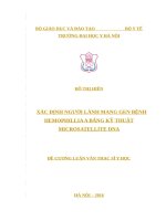 XÁC ĐỊNH NGƯỜI LÀNH MANG GEN BỆNH HEMOPHILLIA a BẰNG kỹ THUẬT MICROSATELLITE DNA 