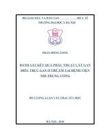 ĐÁNH GIÁ kết QUẢ PHẪU THUẬT cắt GAN điều TRỊ u GAN ở TRẺ EM tại BỆNH VIỆN NHI TRUNG ƯƠNG 