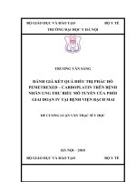 ĐÁNH GIÁ kết QUẢ điều TRỊ PHÁC đồ PEMETREXED – CARBOPLATIN TRÊN BỆNH NHÂN UNG THƯ BIỂU mô TUYẾN của PHỔI GIAI đoạn IV tại BỆNH VIỆN BẠCH MAI 