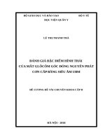 ĐÁNH GIÁ đặc điểm HÌNH THÁI của mắt GLÔCÔM góc ĐÓNG NGUYÊN PHÁT cơn cấp BẰNG SIÊU âm UBM 