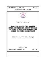 NGHIÊN cứu các yếu tố LIÊN QUAN đến kết QUẢ điều TRỊ sỏi NIỆU QUẢN 13 TRÊN BẰNG tán sỏi nội SOI NGƯỢC DÒNG HOLMIUM LASER tại BỆNH VIỆN TRƯỜNG đại học y hà nội 