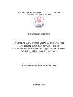 NGHIÊN cứu HIỆU QUẢ GIẢM ĐAU và TAI BIẾN của kĩ THUẬT TIÊM DEXAMETHASONDE NGOÀI MÀNG CỨNG dưới HƯỚNG dẫn cắt lớp VI TÍNH 