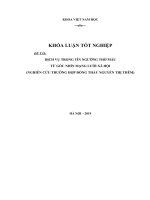DỊCH VỤ TRONG TÍN NGƯỠNG THỜ MẪU  TỪ GÓC NHÌN MẠNG LƯỚI XÃ HỘI (NGHIÊN CỨU TRƯỜNG HỢP ĐỒNG THẦY NGUYỄN THỊ THÊM)