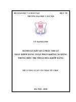 ĐÁNH GIÁ kết QUẢ PHẪU THUẬT THAY KHỚP HÁNG TOÀN PHẦN KHÔNG XI MĂNG TRONG điều TRỊ THOÁI hóa KHỚP HÁNG 