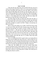 Nghiên cứu đặc điểm lâm sàng, cận lâm sàng và nồng độ một số cytokin ở bệnh nhân viêm loét đại trực tràng chảy máu (tt)