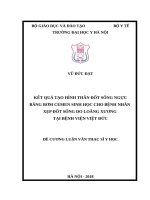 KẾT QUẢ tạo HÌNH THÂN đốt SỐNG NGỰC BẰNG bơm CEMEN SINH học CHO BỆNH NHÂN xẹp đốt SỐNG DO LOÃNG XƯƠNG tại BỆNH VIỆN VIỆT đức 