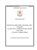 NGHIÊN cứu đặc điểm lâm SÀNG, cận lâm SÀNG và điều TRỊ u LYMPHO tế bào lớn bất THỤC sản ở TRẺ EM tại BỆNH VIỆN k 