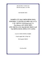 Nghiên cứu đặc điểm hình thái, sinh học và đánh giá hiệu quả của các chủng nấm beauveria và paecilomyces ký sinh trên côn trùng gây hại được phân lập tại đồng bằng sông cửu long 