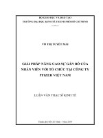 Giải pháp nâng cao sự gắn bó của nhân viên với tổ chức tại công ty pfizer việt nam 