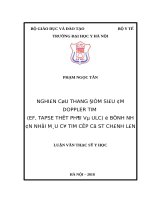 NGHIÊN cứu THANG điểm SIÊU âm DOPPLER TIM (EF, TAPSE THẤT PHẢI và ULC) ở BỆNH NHÂN NHỒI máu cơ TIM cấp có ST CHÊNH lên 