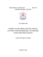 NGHIÊN cứu đặc điểm lâm SÀNG, nội SOI, cắt lớp VI TÍNH, mô BỆNH học của VIÊM mũi XOANG mạn TÍNH có POLYP 