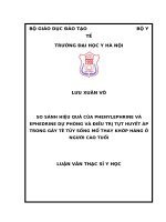 SO SÁNH HIỆU QUẢ của PHENYLEPHRINE và EPHEDRINE dự PHÒNG và điều TRỊ tụt HUYẾT áp TRONG gây tê tủy SỐNGMỔ THAY KHỚP HÁNG ở NGƯỜI CAO TUỔI 