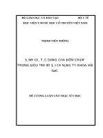 ĐÁNH GIÁ tác DỤNG của điện CHÂM TRONG điều TRỊ bí đái cơ NĂNG tại KHOA hồi sức 