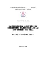 ĐẶC điểm HÌNH THÁI sọ mặt TRÊN PHIM CEPHALOMETRIC của BỆNH NHÂN LỆCH lạc KHỚP cắn LOẠI i THEO ANGLE 