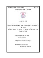 NGHIÊN cứu HÌNH ẢNH SOI BUỒNG tử CUNG ở NHỮNG BỆNH NHÂN vô SINH tại BỆNH VIỆN PHỤ sản TRUNG ƯƠNG 