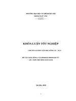 GIỌT RỪNG CỦA MIKHAIL PRISHVIN TỪ  GÓC NHÌN PHÊ BÌNH SINH THÁI