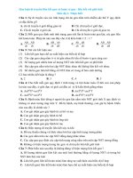 Câu hỏi trắc nghiệm môn Sinh Học chọn lọc theo mức độ vận dụng kèm lời giải chi tiết Chuyên đề Quy luật di truyền liên kết gen và hoán vị gen - liên kết với giới tính