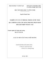 Nghiên cứu xử lý phenol trong nước thải quá trình luyện cốc bằng phương pháp ozon hóa kết hợp với xúc tác