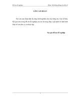 Xây dựng phần mềm kế toán doanh thu bán hàng tại công ty cổ phần thương mại lý nhân 