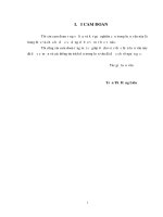 Phân tích các nhân tố ảnh hưởng đến sự hài lòng về công việc của người lao động tại công ty sơn hoàng gia 